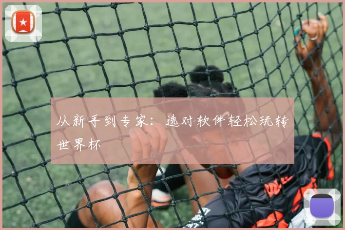 从新手到专家：选对软件轻松玩转世界杯