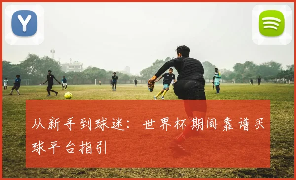 从新手到球迷：世界杯期间靠谱买球平台指引